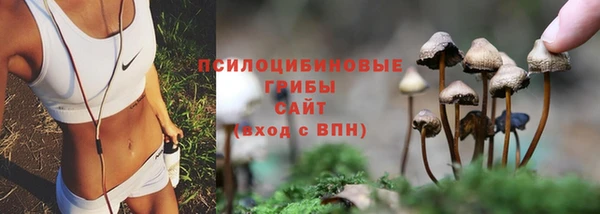 мяу мяу кристалл Магадан