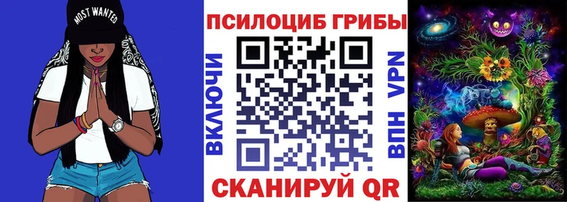 Галлюциногенные грибы GOLDEN TEACHER  Купить  Осинники 